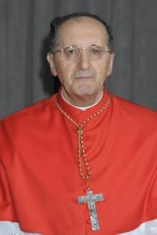Cardinale Antonelli